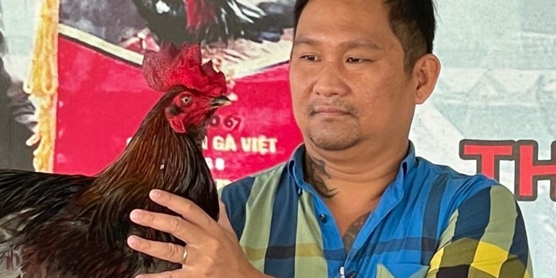 Điểm mặt dấu ấn của Mít Trà Cú trong làng đá gà