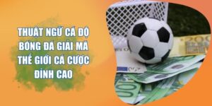 thuật ngữ cá độ bóng đá